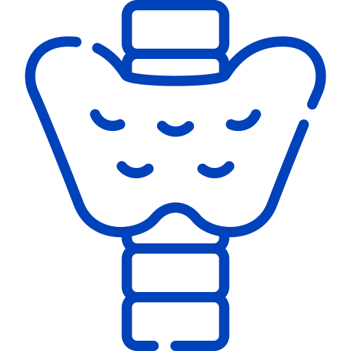 Thyroid Function